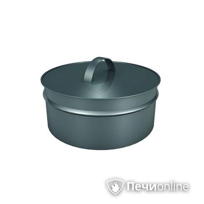 Заглушки Теплов и Сухов Заглушка ревизии Термо-Р 304 0.5 D300(200) в Вологде