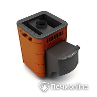 Дровяная банная печь TMF Оса Carbon терракота дверь антрацит в Вологде