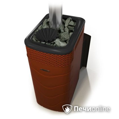 Дровяная банная печь TMF Гейзер XXL 2017 Inox Витра закрытая каменка терракота в Вологде